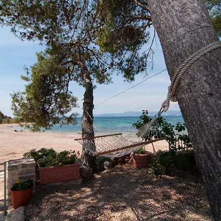 Villa Exclusive Beachfront With Pool For 8 At Island Brac Mirce